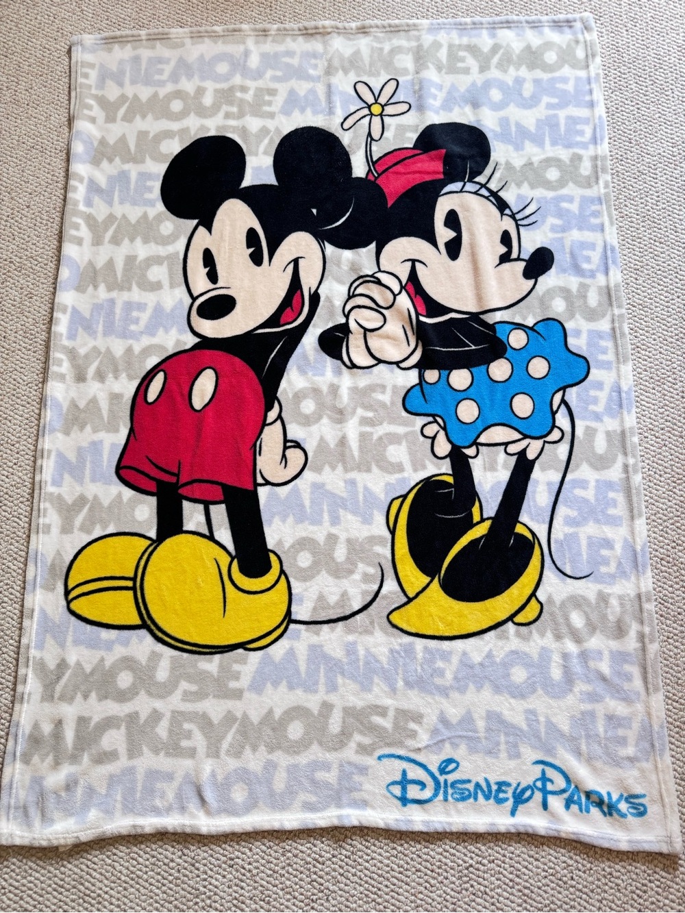 Disney Parks Plush Blanket in Light Gray and White